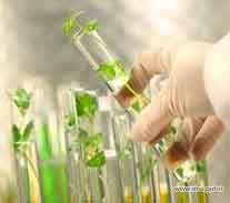منابع آزمون دکتری ژنتیک و به نژادی گیاهی